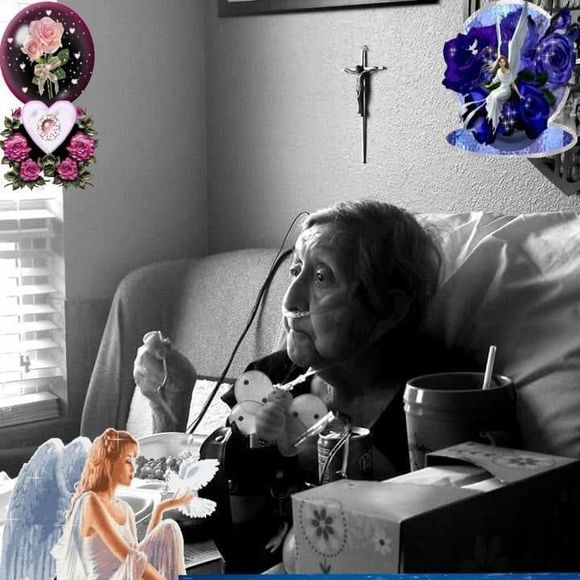 Meet your Posher, Lupe - Picture 1 of 1